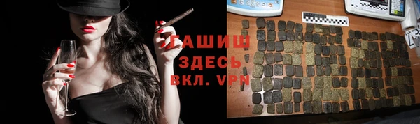 гашик Алзамай