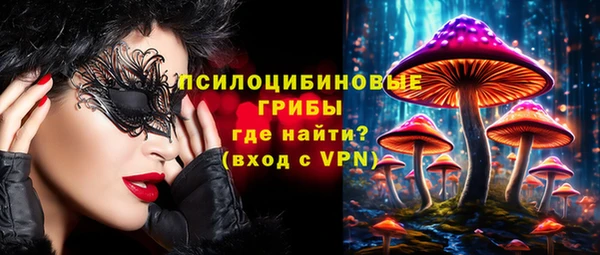 ALPHA-PVP Алексеевка