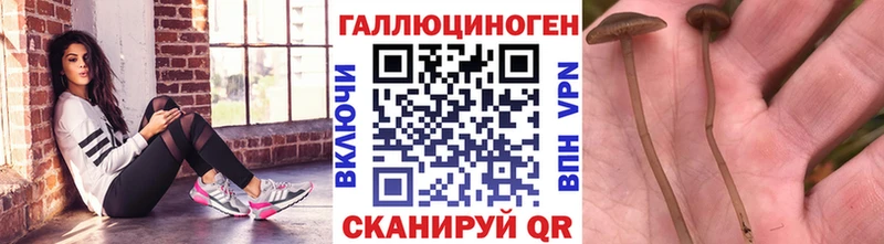 Галлюциногенные грибы Psilocybine cubensis  даркнет сайт  Суровикино 